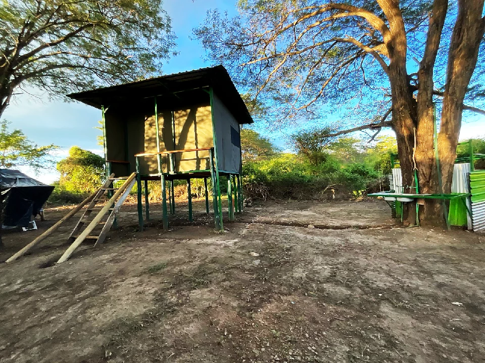 Tree house accommodation at Thiba River Camp
